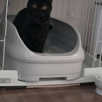 ★マジカルサンド　超清潔　システムトイレ用