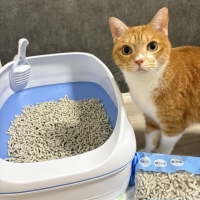 ★マジカルサンド　超清潔　システムトイレ用