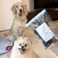 広島産 鶏レバージャーキー(PEPPY LIFE 犬おやつシリーズ)