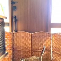 軽量ついたてゲート （ペットゲート 置くだけ）