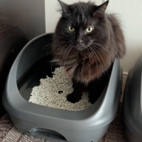 ★マジカルサンド　超清潔　システムトイレ用