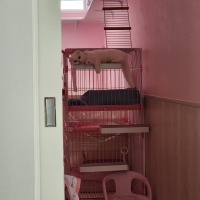 ケージ用ステップ(猫　ケージ)