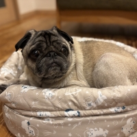 ★洗える　まあるいベッド