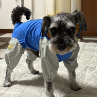 【WHCY（ウォームハートカンパニー）】ＪコートＢ２レインコート