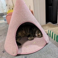 ラグタスコーン