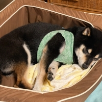 スクエアカドラーカバー・防水 (専用替えカバー)