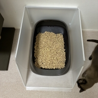 トイレにプラスクリーン