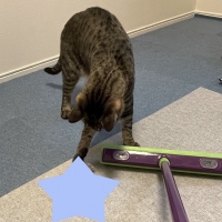 ペットの抜け毛がネコそぎとれるホウキ（旧：不思議なホウキ）