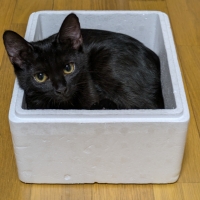 【成長前期の子猫用】ロイヤルカナンマザー＆ベビーキャットドライ＆ウェット