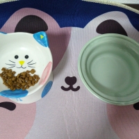 ヘルスウォーターシリーズ　にゃんマグ