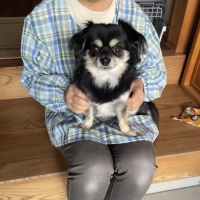 ランコたまごちゃん