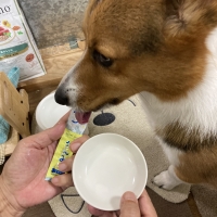 Ｓｉｐｐｏｌｅ　わんみぃ　Ｌ８０２０（オーラルケア）