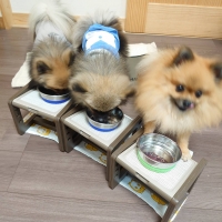 With You コトコト煮込んだ犬用ヤギミルクスープ