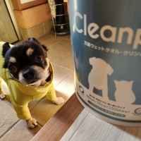 万能ウェットタオル　クリンポイ（ペット用ウェットティッシュ）