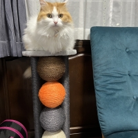 ニャンまるも爪とぎ（猫用爪とぎ）