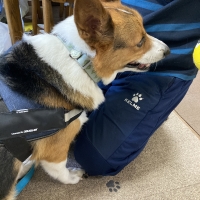 ユリウスＫ９デバイスホルダー