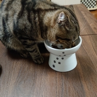 ハッピーダイニング　脚付