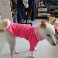 【マンダリンブラザーズ】スキンタイトウォームＴシャツ