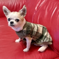 【PEPPY　LIFE】着せるのらくちんウェア（背中開き）