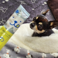 Ｓｉｐｐｏｌｅ　わんみぃ　Ｌ８０２０（オーラルケア）