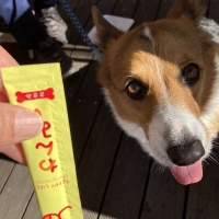 Ｓｉｐｐｏｌｅ 犬おやつ わんみぃ（無添加 国産）