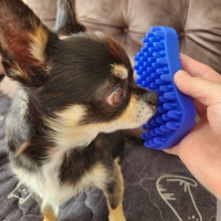 ペットアンドミー（シリコンブラシ）