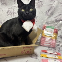 Ｓｉｐｐｏｌｅ　にゃろみ（無添加 国産)