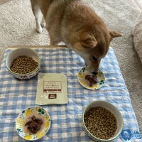 With You コトコト煮込んだ犬用ヤギミルクスープ