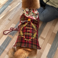 【PEPPY　LIFE】着せるのらくちんウェア（マントタイプ）