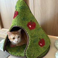 ラグタス デザイン猫ラグ＆コーン