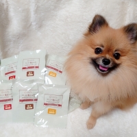 With You コトコト煮込んだ犬用ヤギミルクスープ