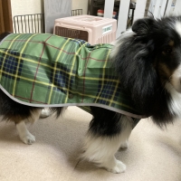 2025年モデル【PEPPY　LIFE】らくちんレインコート