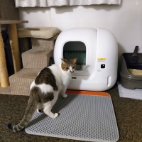ＰＥＴＫＩＴ自動猫トイレ　ＰＵＲＡＭＡＸ２