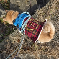 【PEPPY　LIFE】着せるのらくちんウェア（マントタイプ）