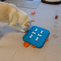 ニーナ・オットソン　トリーツトイ(知育玩具)