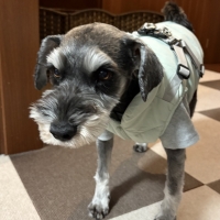 コットンタッチハーネスジャンパー