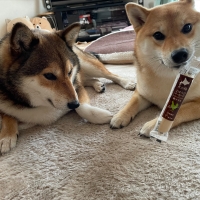 北の極 ごほうびソーセージ