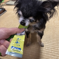 Ｓｉｐｐｏｌｅ　わんみぃ　Ｌ８０２０（オーラルケア）