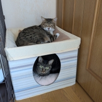 さわやかコットン２階建ハンモックベッド（旧：さわやかマリン２階建ハンモックベッド