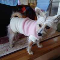 あったかスリーパー