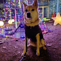 耳クサ・イヤー　初めての方用　３０ｍｌ