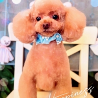 フリーズドライ　合鴨レバー