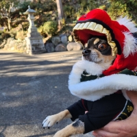 ナチュラルハーベスト フェカリス３０００