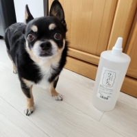 ペット用食器洗剤サラピカ