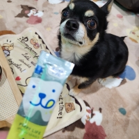 Ｓｉｐｐｏｌｅ　わんみぃ　Ｌ８０２０（オーラルケア）