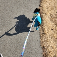 ナチュラルハーベスト フェカリス３０００