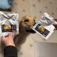 真昆布だし香る　わんのごちそう