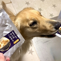 真昆布だし香る　わんのごちそう