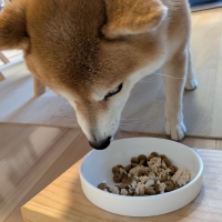 真昆布だし香る　わんのごちそう