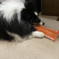 消防ホースのパキパキおもちゃ